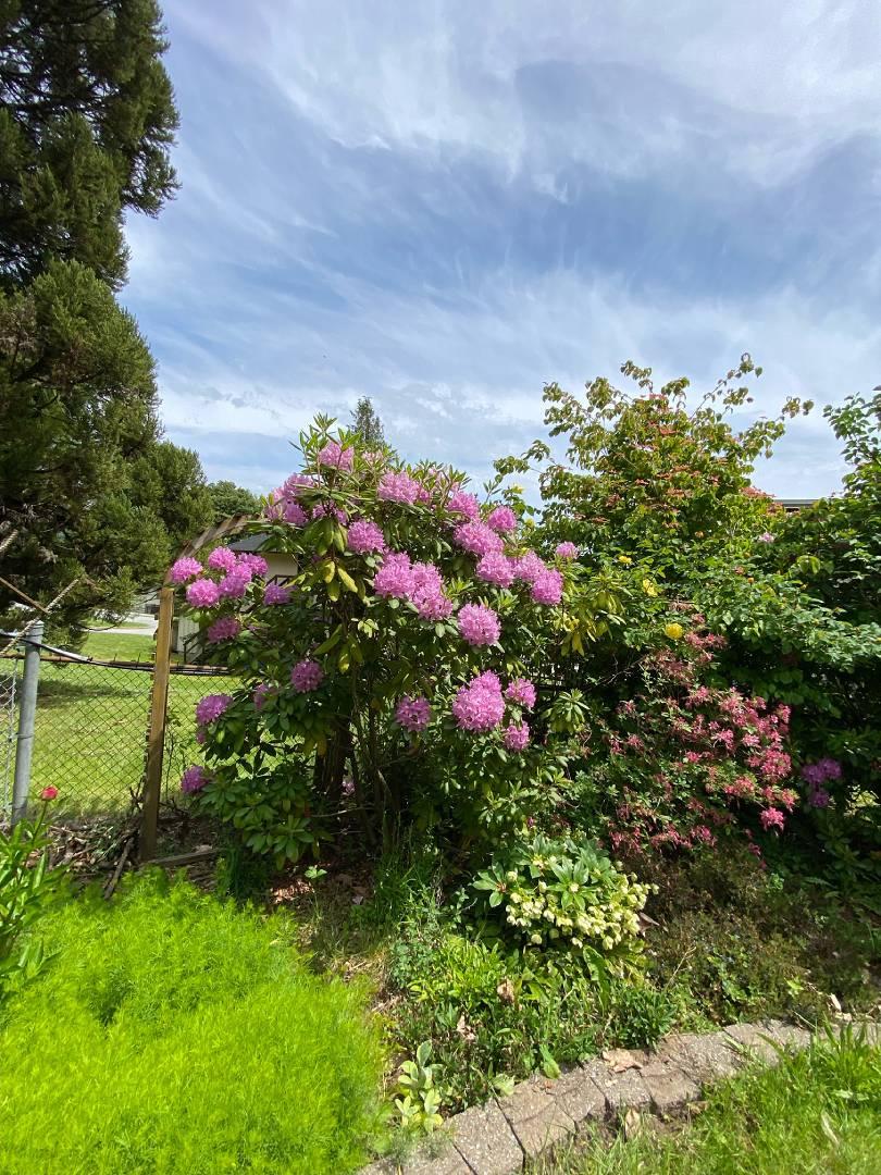 RHCS Grounds - Image 5