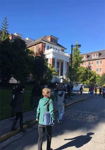 In memory of Donna Crosby - Image 3